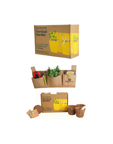 Triple Pocket Package